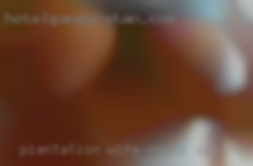 Plantation wife sex masturbation in Rocklin, California.