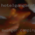 Swinger camping